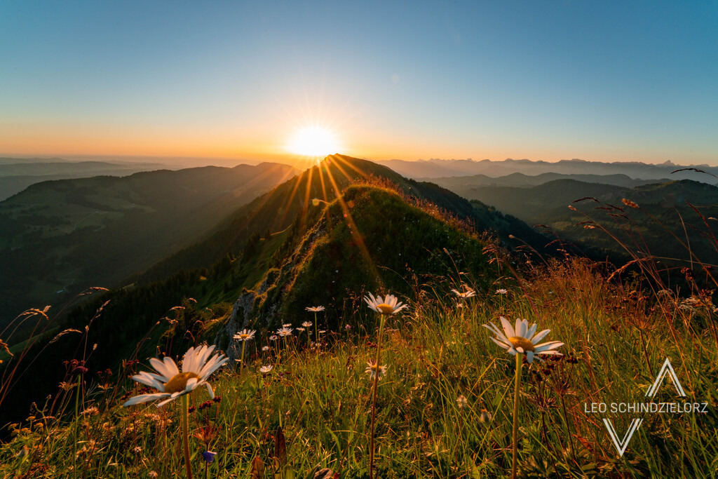 7 Fotografie_Leo_Schindzielorz_DE_Sommer_Allgaeu_Hochgrat_20220719_A7R01793_org | Atmosphärische Landschaftsbilder & Drohnenaufnahmen aus dem Allgäu, Tirol, Südtirol & der Schweiz – ideal für Leinwanddrucke & zur stilvollen Raumgestaltung. - Realisiert mit Pictrs.com