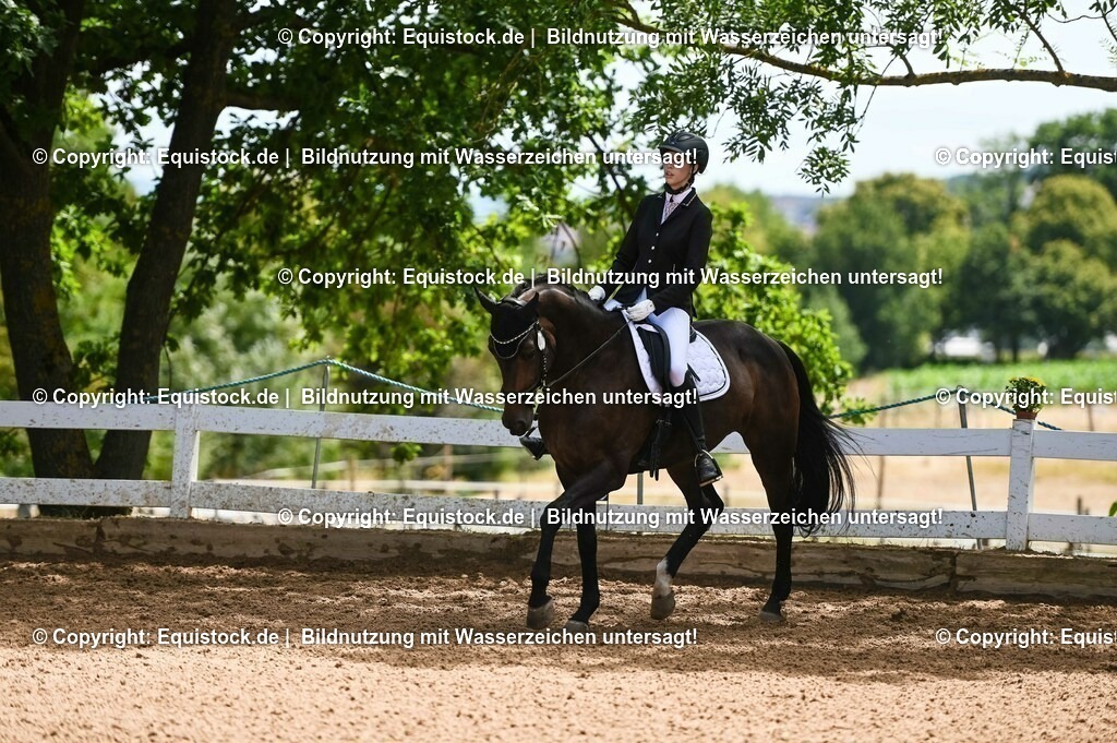 20230716_03_Dressurprfg. Kl.L - Tr._0555 | equistock