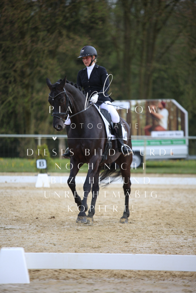 IMGT6186 | pl-fotografie