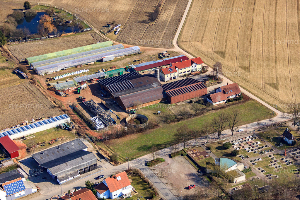 Luftbild: Schmiedhof und Pension Neupotz in Neupotz im Bundesland Rheinland-Pfalz in Deutschland. Foto: IMG_48922.jpg vom 09.03.2012 durch Werner Riehm/FLY-FOTO.de