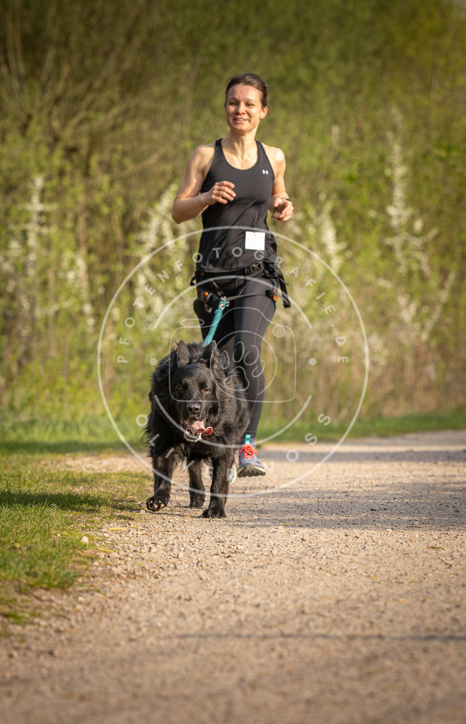 Pfotenfotografie_DV3A4479 | Hundefotografie, Tierfotograf, Pfotenfotografie, Fotoshooting Hund, Hunde Portrait, Hundesport, Hundeportraits, Heideshooting, Hunde, Sportfotograf, Hundefotograf, Turnierhundsport, THS,  - Realisiert mit Pictrs.com