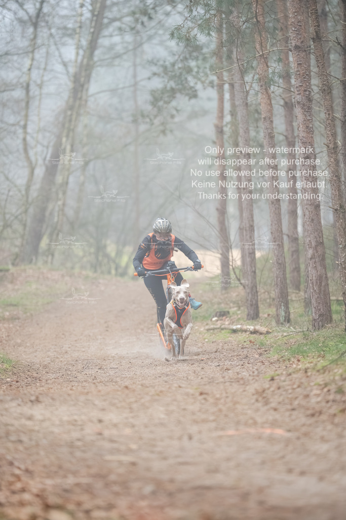 Scooter1-123 | stephaniefillaphotographie - Realisiert mit Pictrs.com