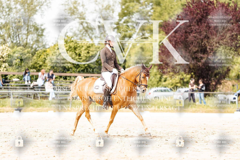 CK901387 | Turnierfotografie Pferdefotografie Trier Rheinland-Pfalz Pferdesport Reitsport Tierfotografie Sportfotografie Pferdevideo Pferdevideografie Equestrianvideography equestrianphotography  - Realisiert mit Pictrs.com