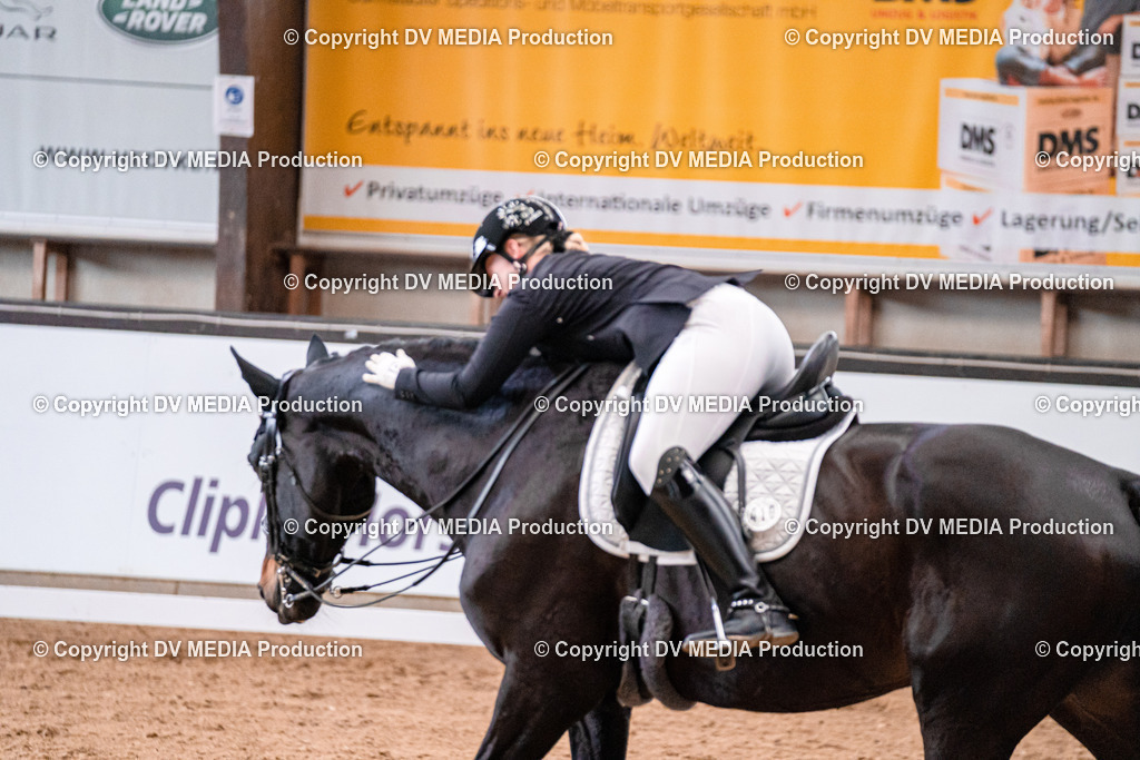 Kranichstein Tag 1-284 | dv-media-shop - Realisiert mit Pictrs.com