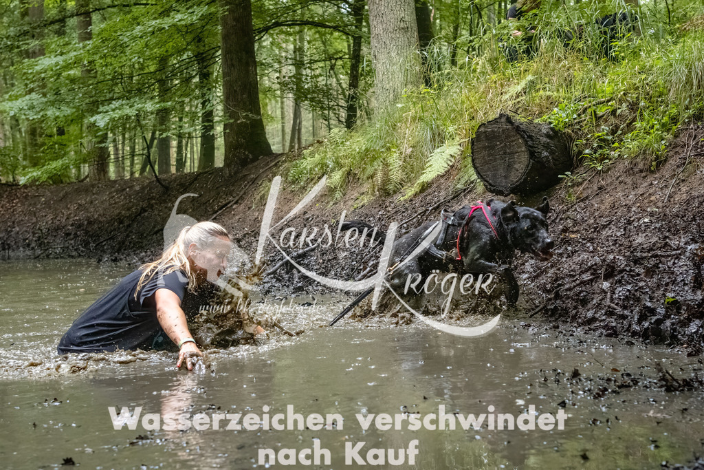 1106_ZZ94178-Bearbeitet-2 | kk-dogfotos