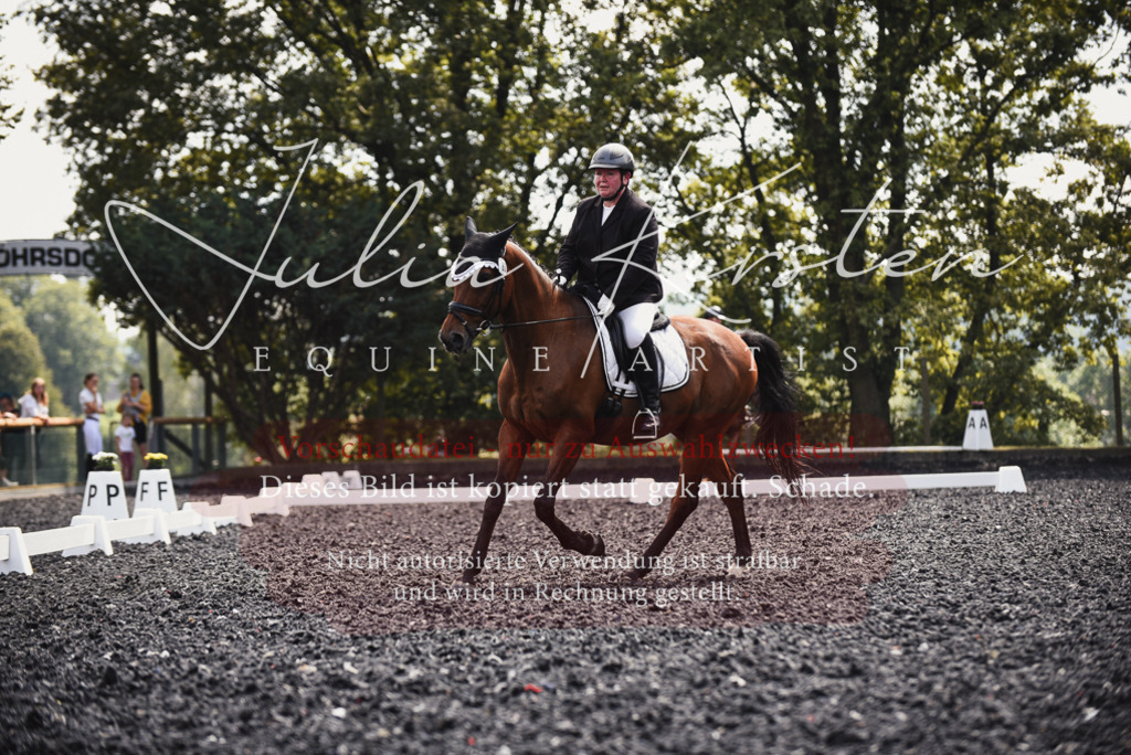 DSC_4173 | Pferde- und Turnierfotografie in Westsachsen. Pferdeportraits, Auftragszeichnungen und intuitive Kunst.