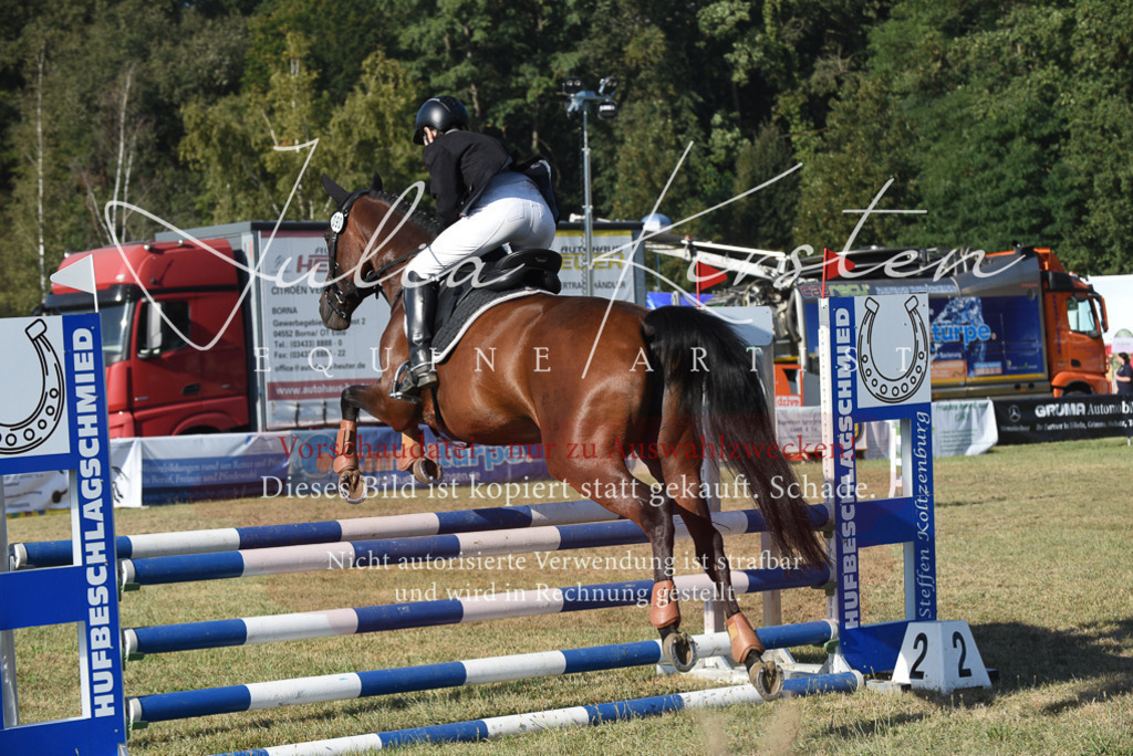 DSC_5217 | Pferde- und Turnierfotografie in Westsachsen. Pferdeportraits, Auftragszeichnungen und intuitive Kunst.