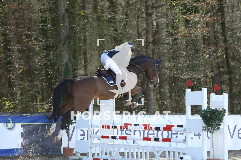 DL2Q1190 | Willkommen bei Brunnmayr - Design & Fotografie – Ihrem Spezialisten für Reitturniere und Pferdeveranstaltungen in Oberösterreich, Salzburg und Bayern! Seit über 17 Jahren sind wir leidenschaftlich dabei.