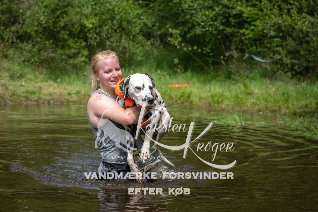 1229DKK992973 | kk-dogfotos