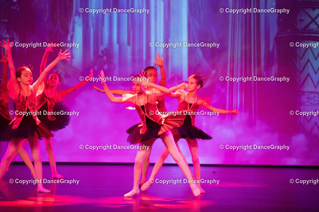 GPHY2154 | DanceGraphy - Realisiert mit Pictrs.com