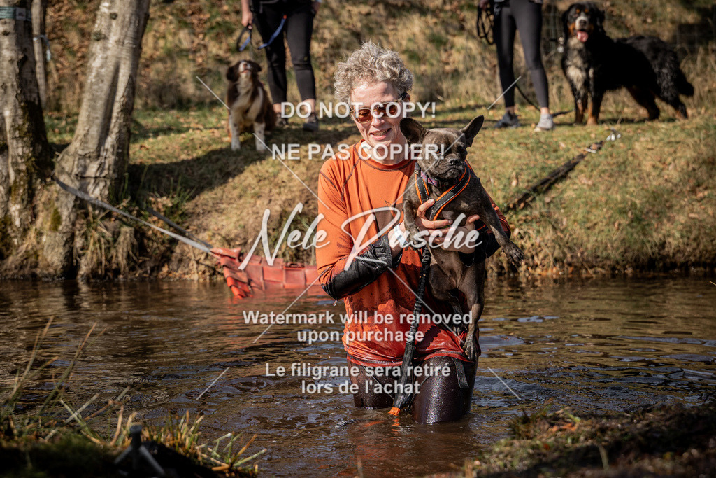 nelerasche_FS1300-1330_262 | nelerasche