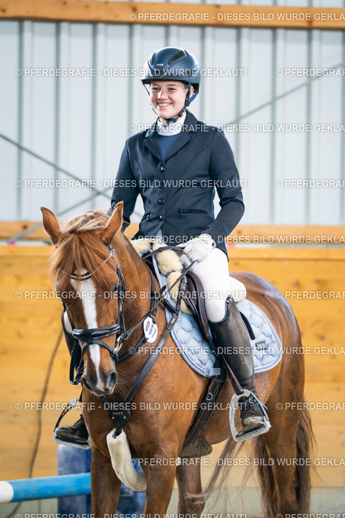 DSC01022 | Pferdegrafie