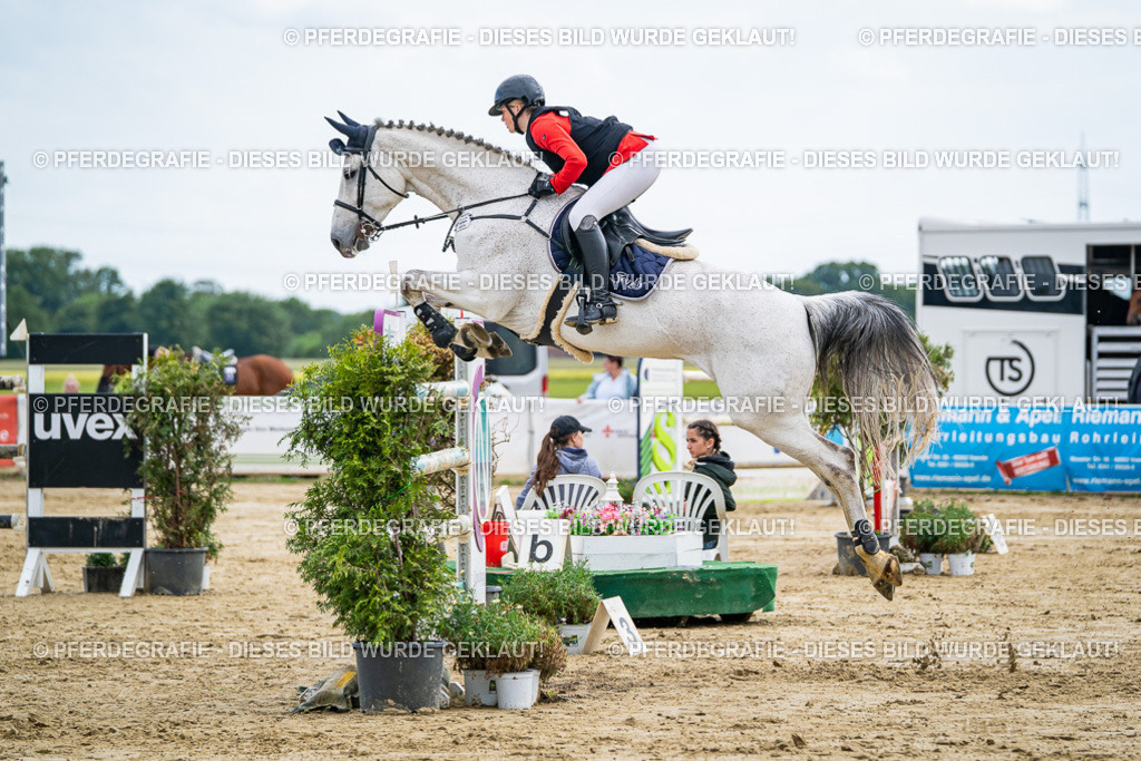 DSC07111 | Pferdegrafie