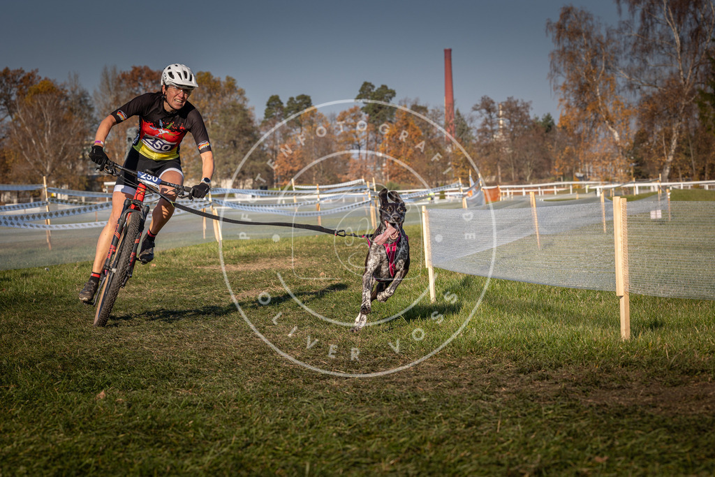 CaniXpix_0L8A6416 | Hundefotografie, Tierfotograf, Pfotenfotografie, Fotoshooting Hund, Hunde Portrait, Hundesport, Hundeportraits, Heideshooting, Hunde, Sportfotograf, Hundefotograf, Turnierhundsport, THS,  - Realisiert mit Pictrs.com