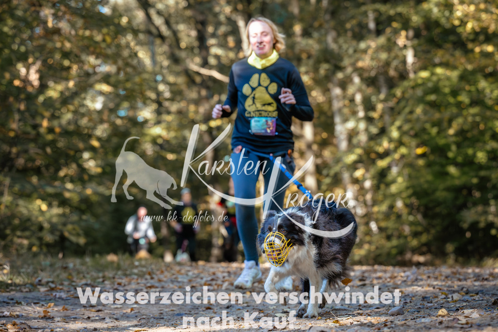 1137_ZZ92868 | kk-dogfotos