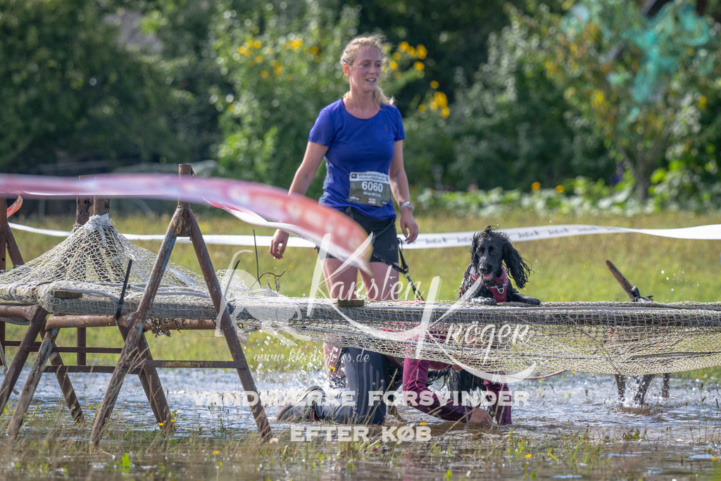 1148_ZZ91688 | kk-dogfotos