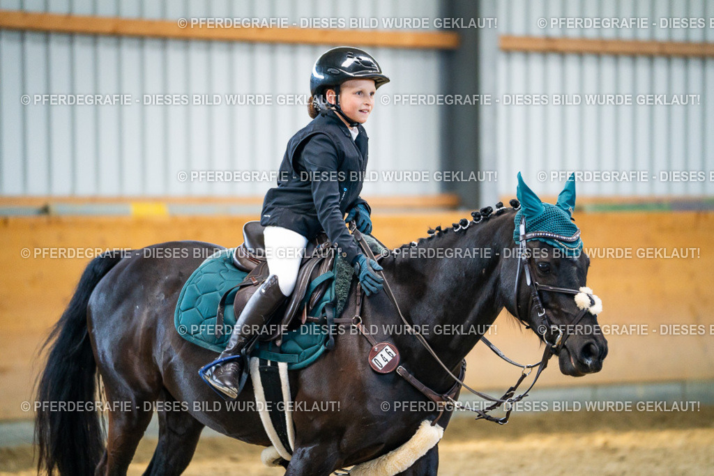 DSC01013 | Pferdegrafie