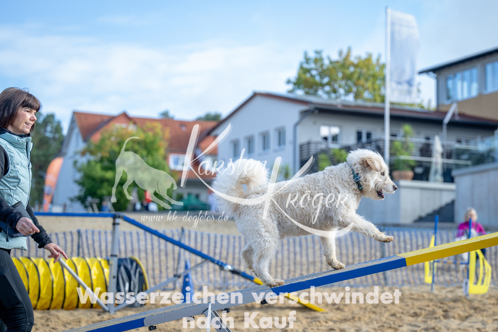 0956_ZZ93171 | kk-dogfotos