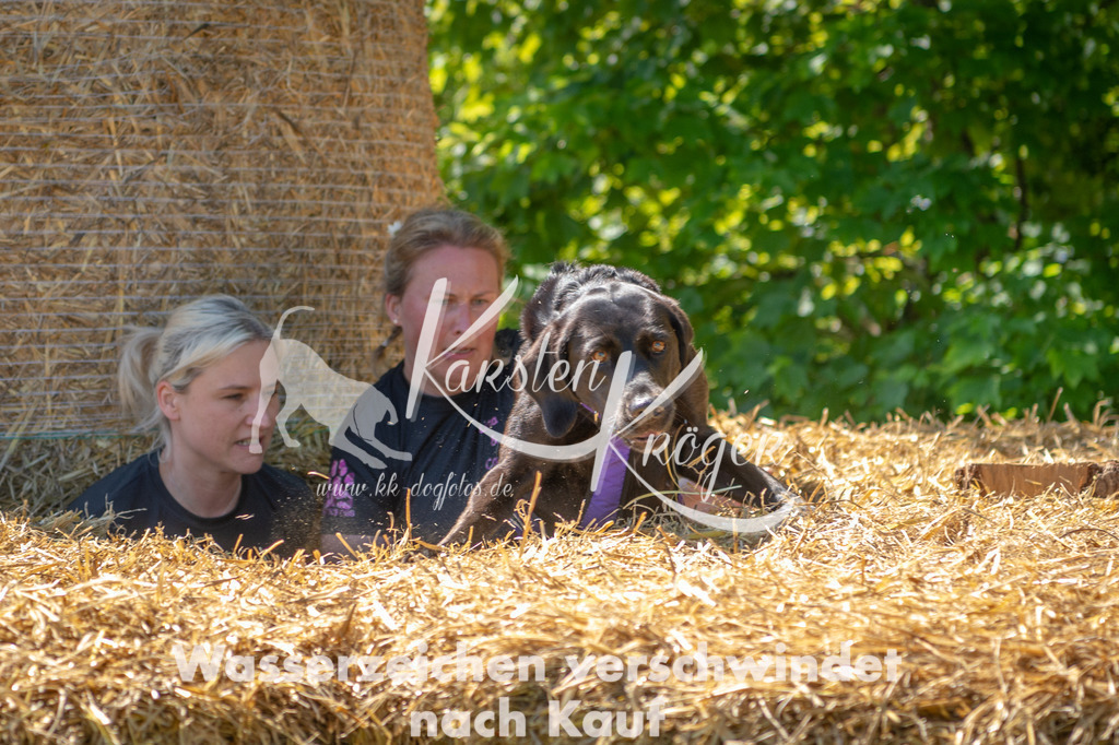 1055STR_6046 | kk-dogfotos