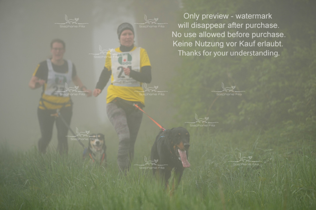 SA_GL2-124 | stephaniefillaphotographie - Realisiert mit Pictrs.com