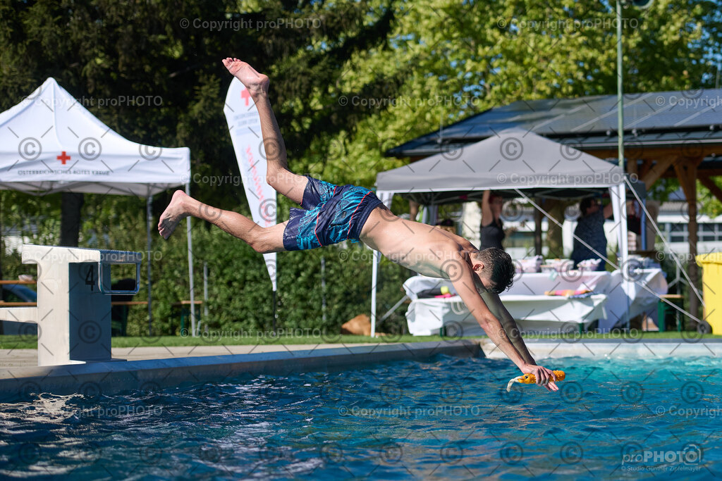 117_202509_4Hundebadetag_NZ9_2478 | proPHOTO - Realisiert mit Pictrs.com