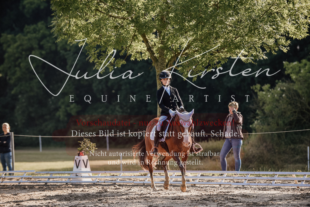 DSC_7825 | Pferde- und Turnierfotografie in Westsachsen. Pferdeportraits, Auftragszeichnungen und intuitive Kunst.
