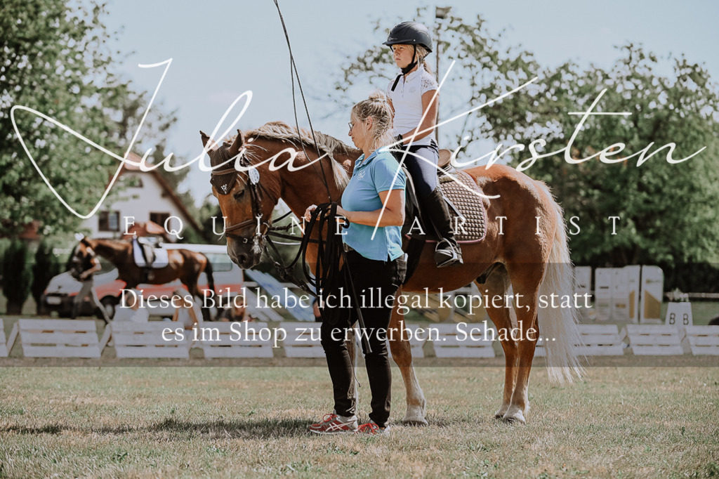 DSC_7833 | Pferde- und Turnierfotografie in Westsachsen. Pferdeportraits, Auftragszeichnungen und intuitive Kunst.