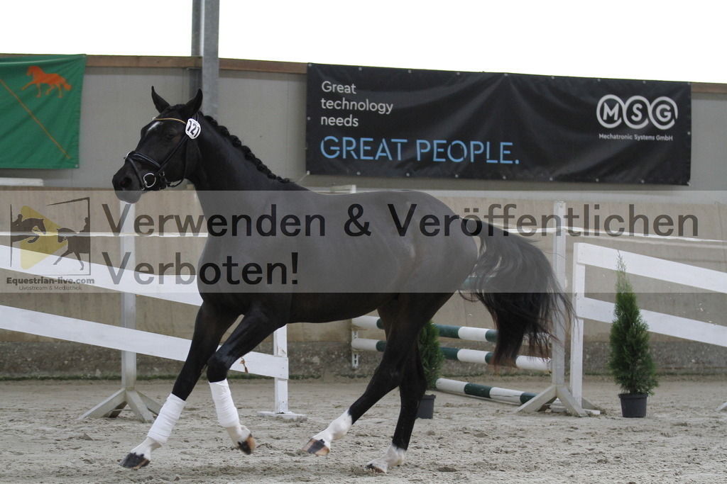 _MG_9535 | equestrian-live-com