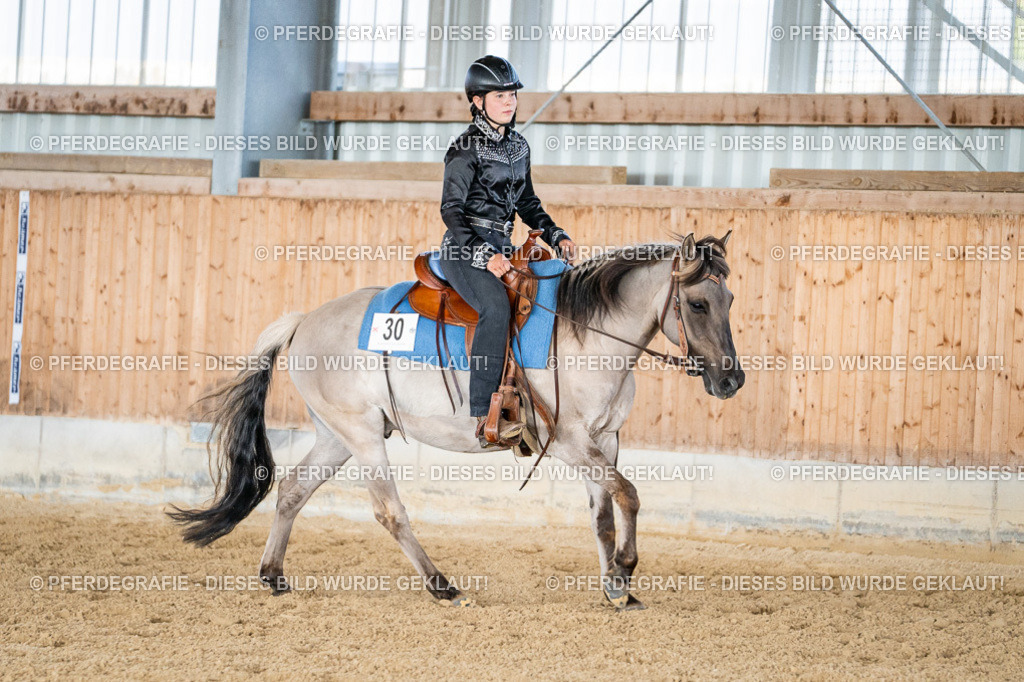 DSC09262 | Pferdegrafie