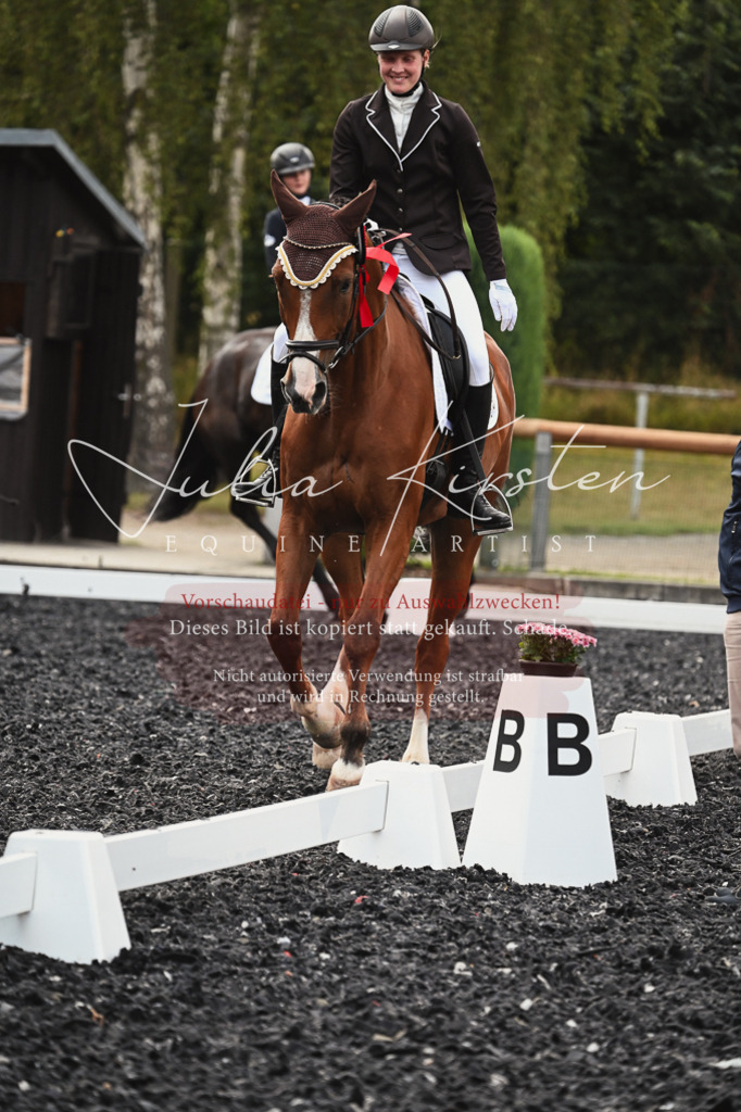 DSC_2819 | Pferde- und Turnierfotografie in Westsachsen. Pferdeportraits, Auftragszeichnungen und intuitive Kunst.