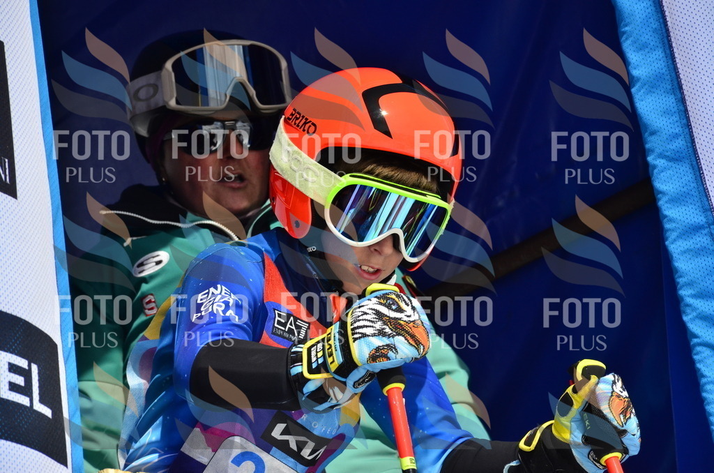 _ELE1471 | holidayphoto