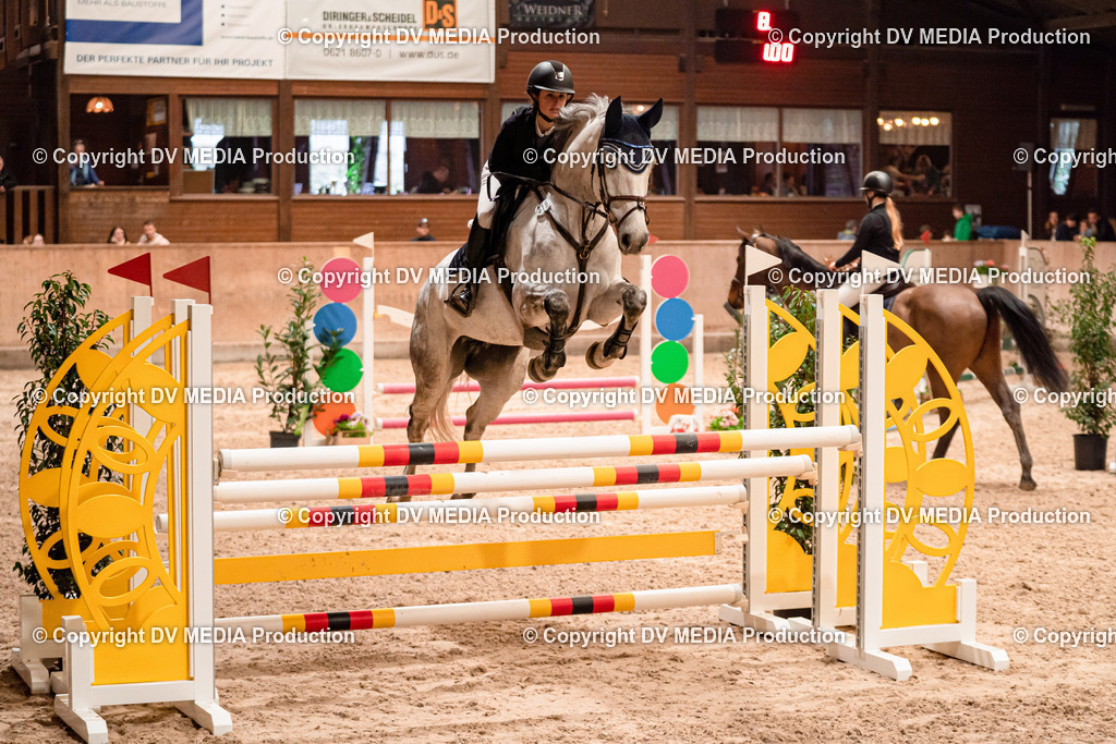 Springen Tag 2-607 | dv-media-shop - Realisiert mit Pictrs.com