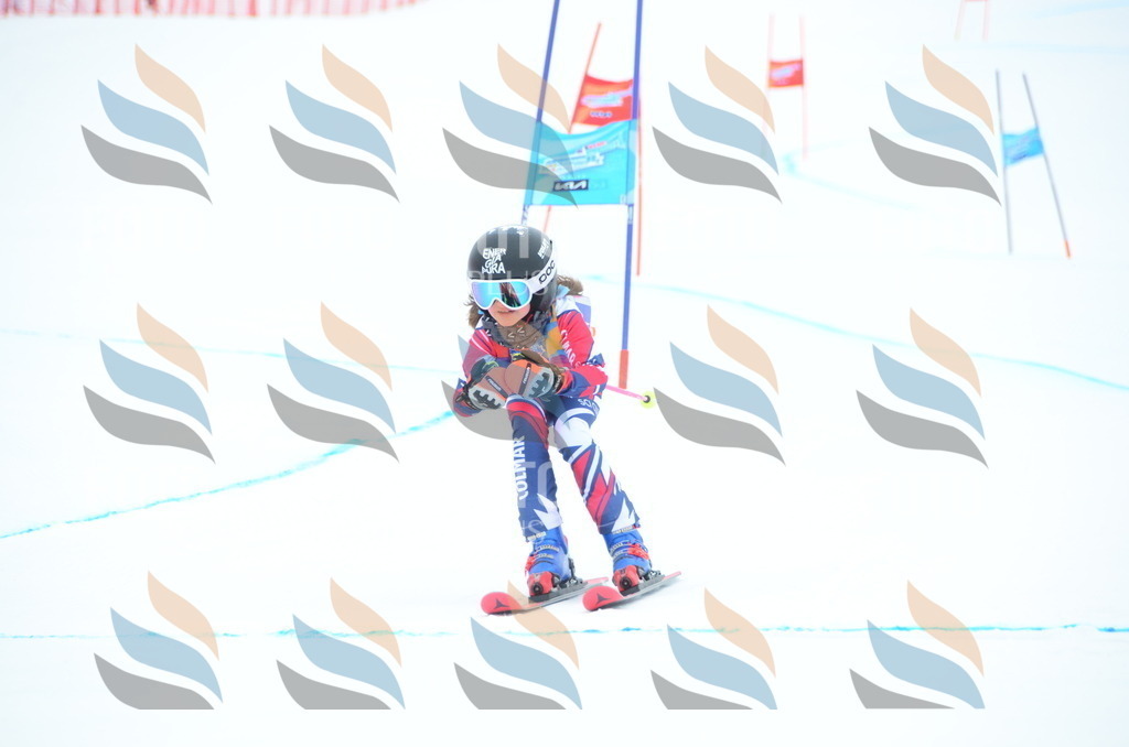 DSC_0650 | holidayphoto