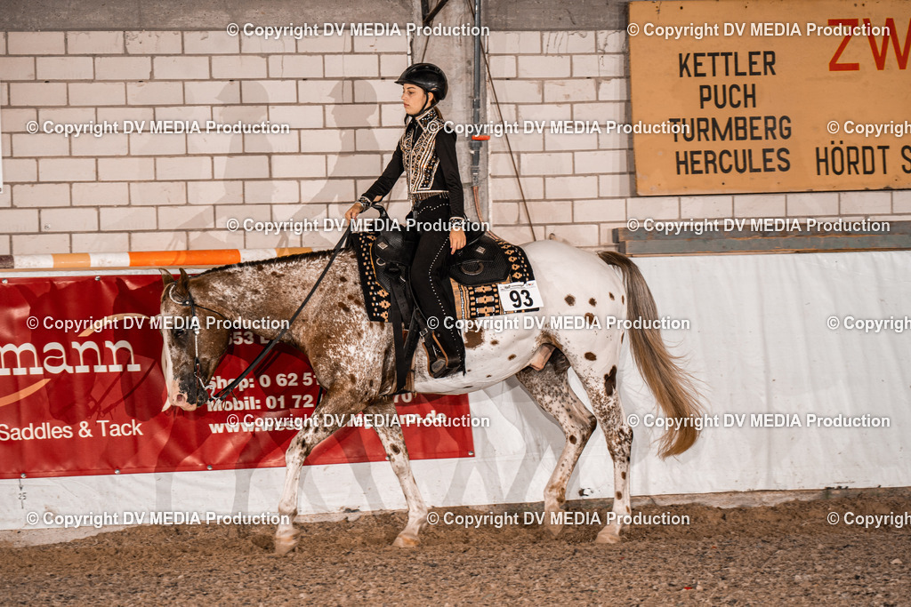 ZH200411 | dv-media-shop - Realisiert mit Pictrs.com