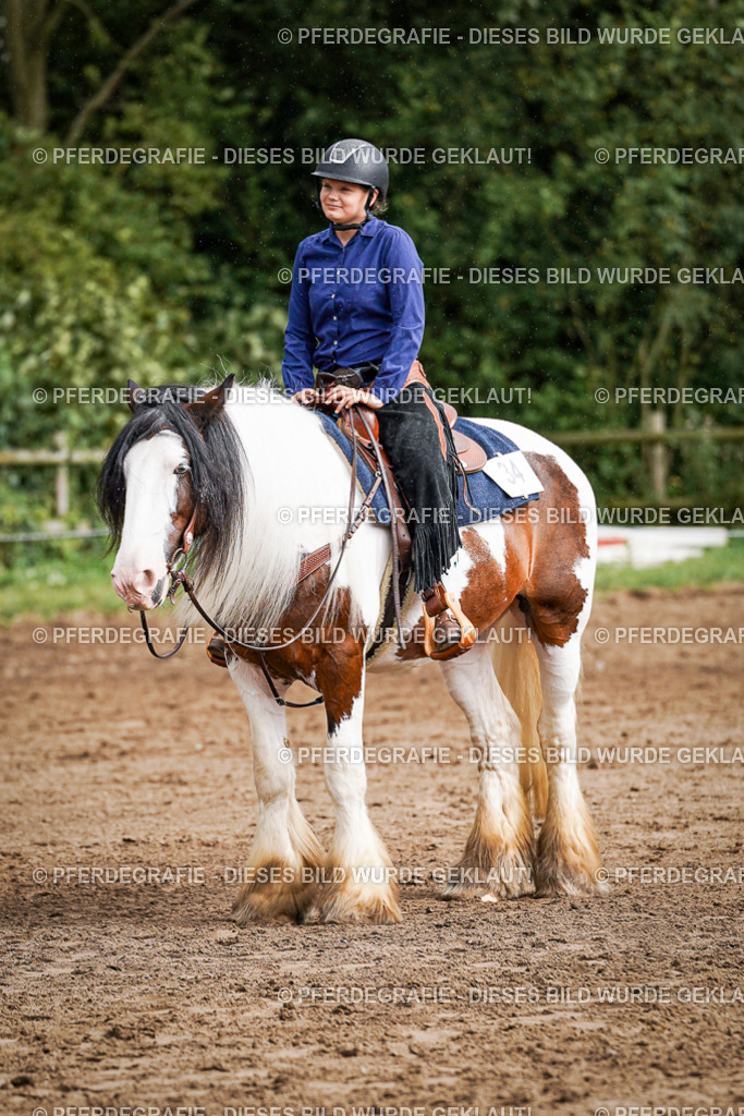 DSC09229 | Pferdegrafie