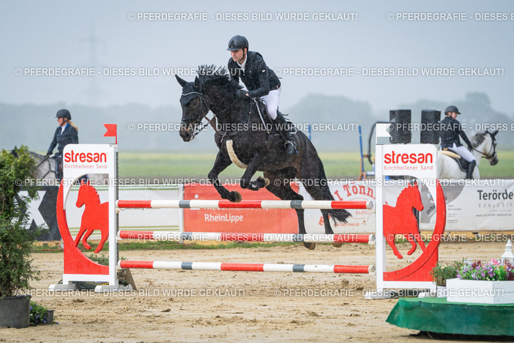 DSC04125 | Pferdegrafie