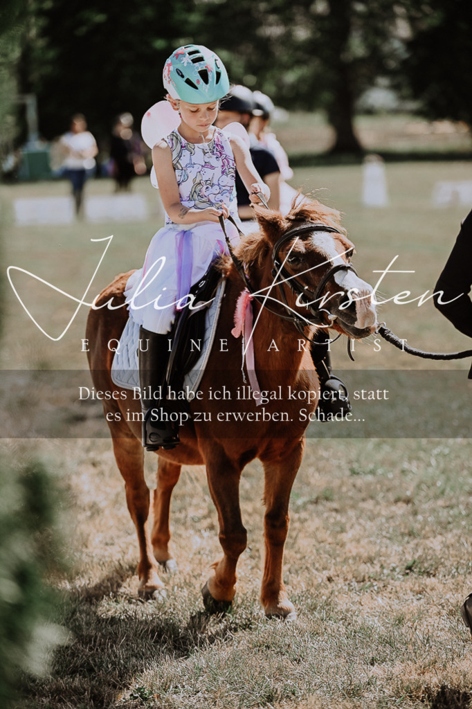 DSC_8995 | Pferde- und Turnierfotografie in Westsachsen. Pferdeportraits, Auftragszeichnungen und intuitive Kunst.