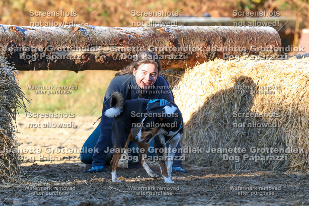 Dog Paparazzi - Strongdog 10-25-703 | Dog Paparazzi Jeanette Grottendiek Fotografie & Videografie - Realisiert mit Pictrs.com