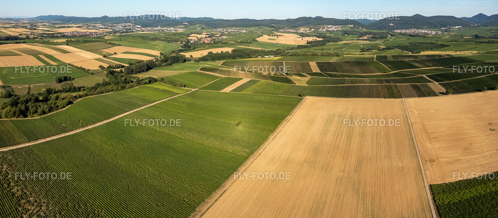 Felder und Weinberge am Horbachtal | Luftbild: Felder und Weinberge am Horbachtal in Niederhorbach im Bundesland Rheinland-Pfalz in Deutschland. Foto: P8080020-Pano.jpg vom 08.08.2022 durch ©2025 Werner Riehm fly-foto.de/copyright - Realisiert mit Pictrs.com