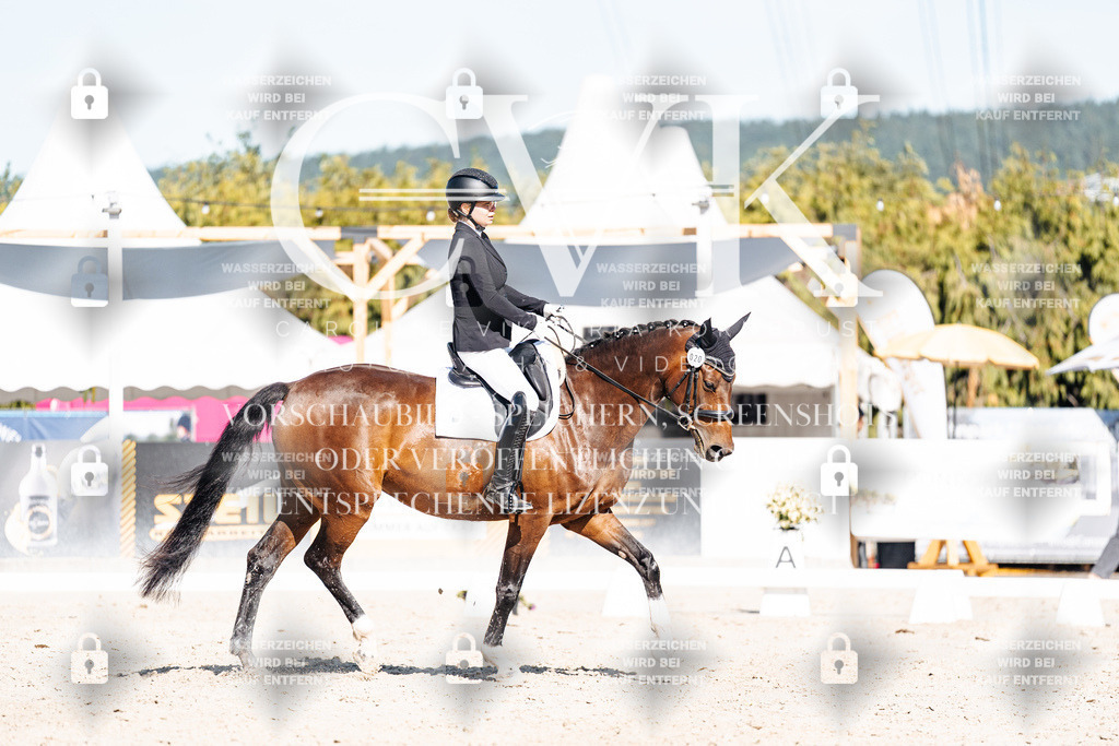 CK908026 | Turnierfotografie Pferdefotografie Trier Rheinland-Pfalz Pferdesport Reitsport Tierfotografie Sportfotografie Pferdevideo Pferdevideografie Equestrianvideography equestrianphotography  - Realisiert mit Pictrs.com