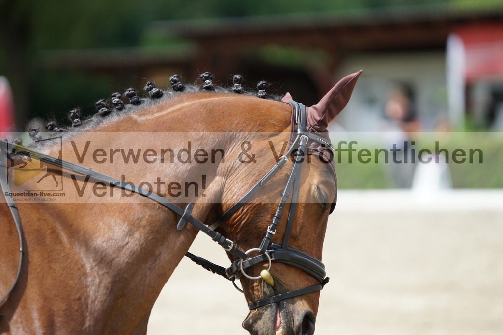 DSC04769 | equestrian-live-com