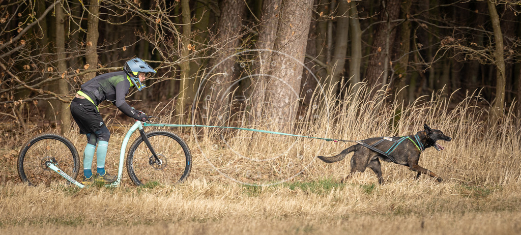 DV3A4769 | Hundefotografie, Tierfotograf, Pfotenfotografie, Fotoshooting Hund, Hunde Portrait, Hundesport, Hundeportraits, Heideshooting, Hunde, Sportfotograf, Hundefotograf, Turnierhundsport, THS,  - Realisiert mit Pictrs.com