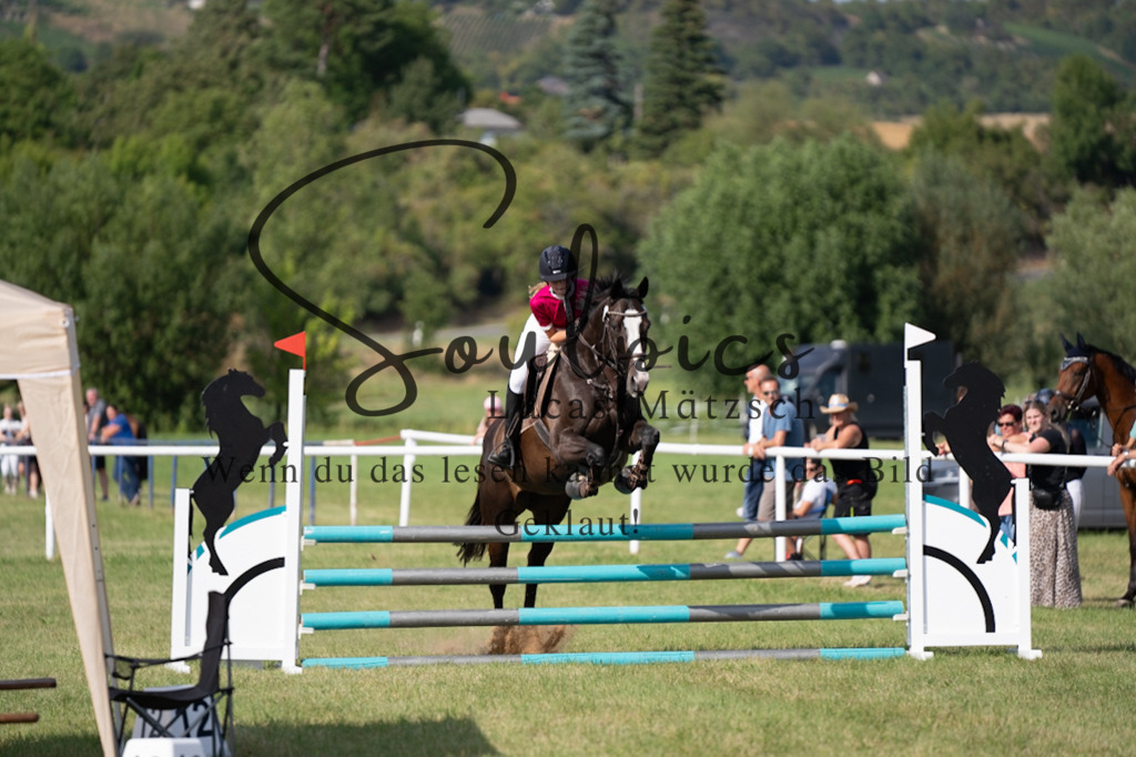 A7V00584 | Pferdefotograf