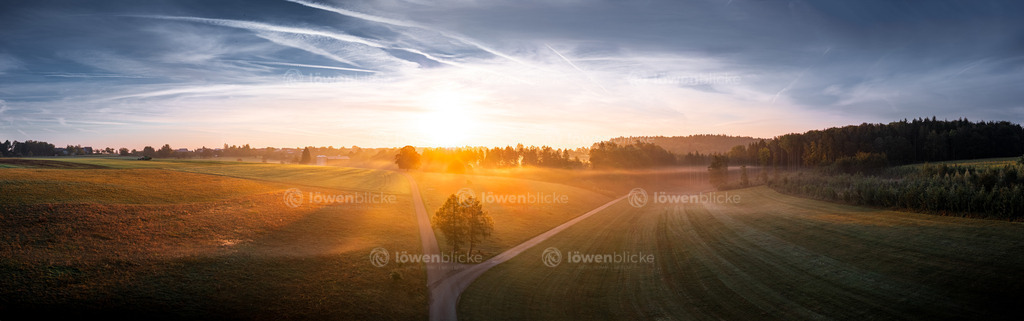 Wanderwege bei Gussenstadt im Nebel | löwenblicke | shop