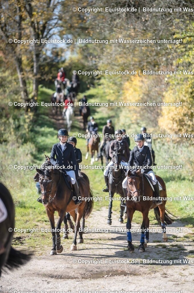 20251011_Jagd-Marbach_0479 | Foto: Thomas Hartig