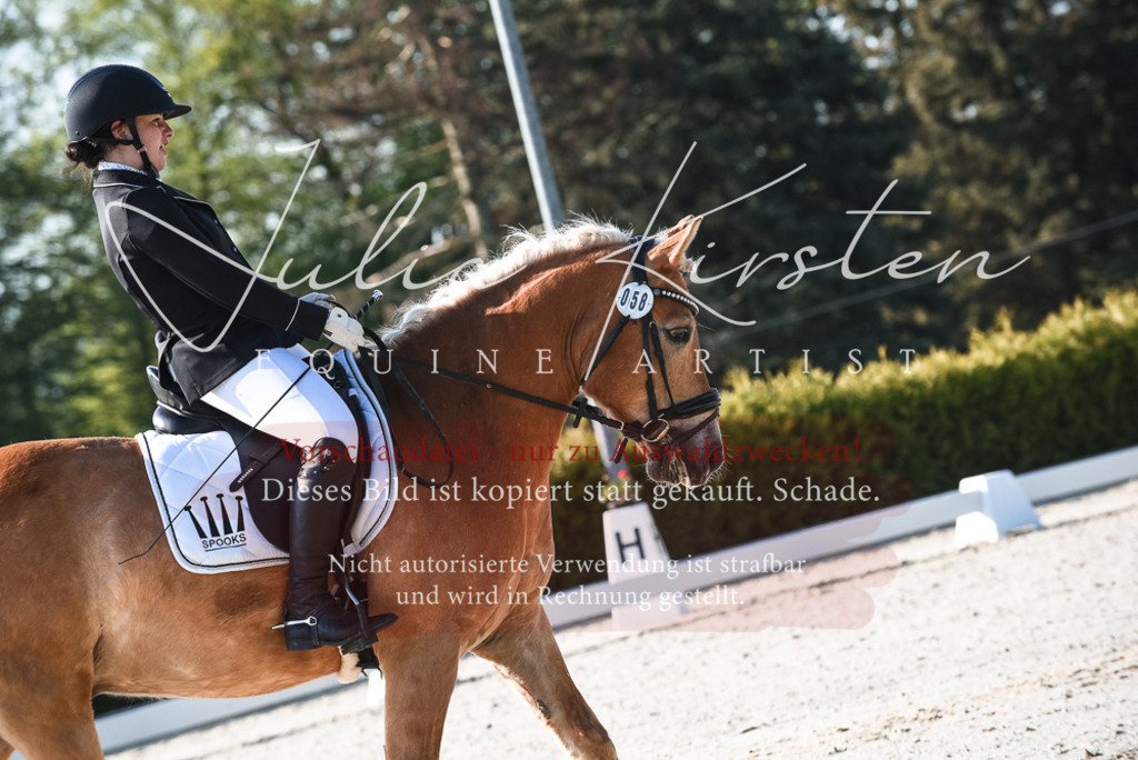 20230518_JK-Röhrsdorf-09-0336 | Pferde- und Turnierfotografie in Westsachsen. Pferdeportraits, Auftragszeichnungen und intuitive Kunst.