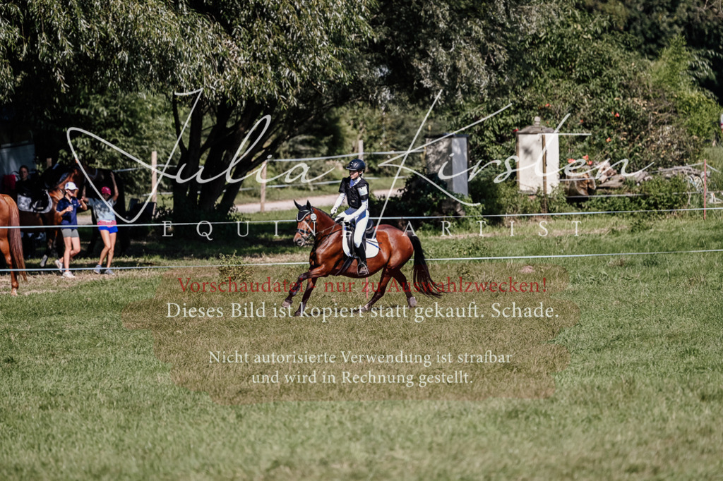 DSC_2825 | Pferde- und Turnierfotografie in Westsachsen. Pferdeportraits, Auftragszeichnungen und intuitive Kunst.