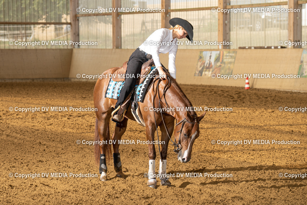 LAU01412 | dv-media-shop - Realisiert mit Pictrs.com