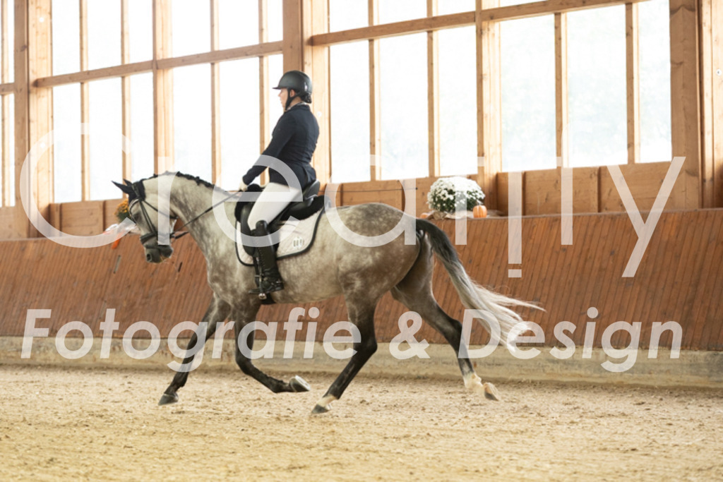 IMG_2400 | Creatify Fotografie