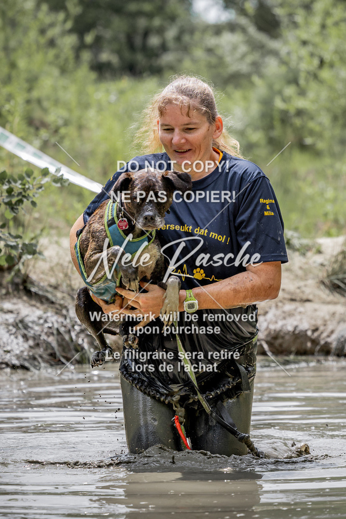 nelerasche_so1230-1300_85 | nelerasche